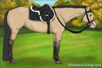 Horse Color:Bay Dun Splash 