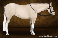 Horse Color:Silver Buckskin Pearl Sabino Tobiano 