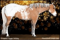 Horse Color:White Spotted Silver Bay Appaloosa 