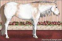 Horse Color:White Spotted Buckskin Snowflake Varnish 