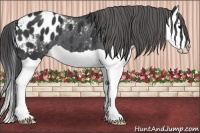 Horse Color:Black Splash Blanket 