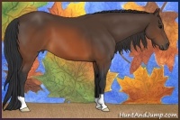Horse Color:Brown 