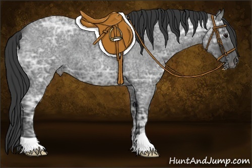 Horse Color:Blue Ice Roan 