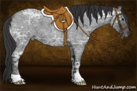 Horse Color:Blue Ice Roan 