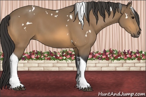 Horse Color:White Spotted Buckskin Tobiano 