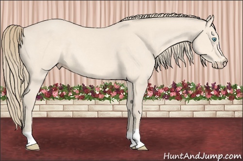 Horse Color:Perlino 
