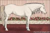 Horse Color:Perlino 