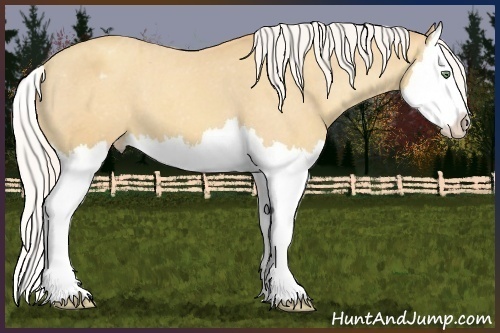 Horse Color:Silver Sable Cream Champagne Splash Varnish