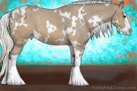 Horse Color:White Spotted Silver Buckskin Splash Appaloosa 
