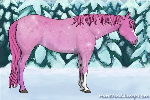 Horse Color:Watercolor Chestnut 