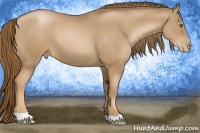 Horse Color:Liver Chestnut Pearl 