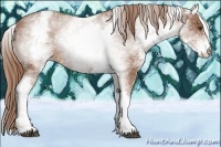 Horse Color:White Spotted Chestnut Varnish