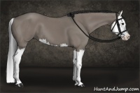Horse Color:Grullo Splash 