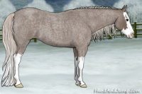 Horse Color:Silver Blue Roan Splash