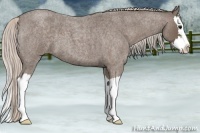 Horse Color:Silver Blue Roan Splash