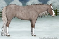 Horse Color:Silver Blue Roan Splash