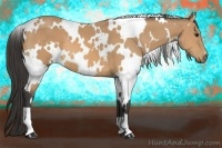Horse Color:White Spotted Buckskin