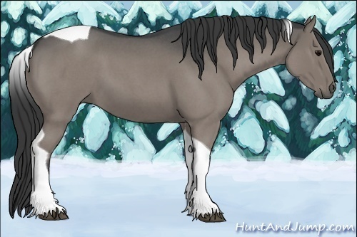 Horse Color:Grullo Roan Tobiano