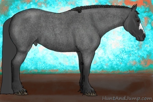 Horse Color:Smoky Blue Roan 