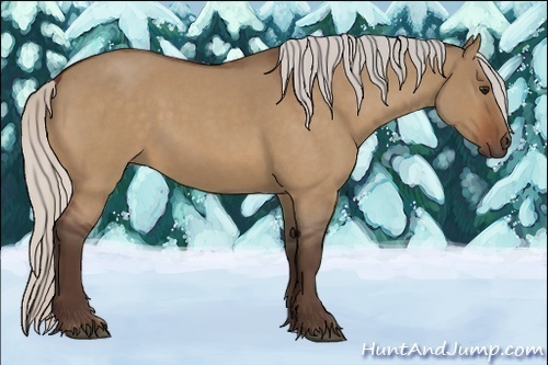Horse Color:Silver Bay Roan Dun