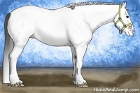 Horse Color:White Spotted Bay
