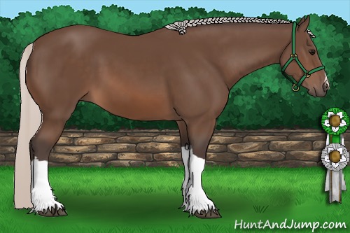 Horse Color:Silver Brown 
