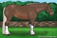 Horse Color:Silver Brown