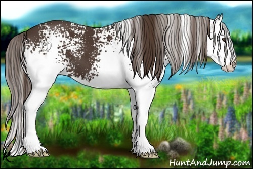 Horse Color:White Spotted Liver Chestnut Splash 