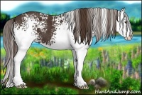 Horse Color:White Spotted Liver Chestnut Splash 