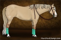 Horse Color:Red Dun Splash 