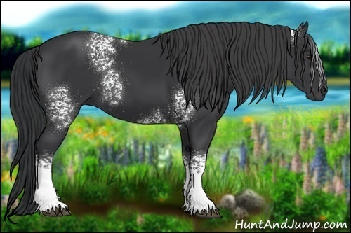 Horse Color:White Spotted Black 
