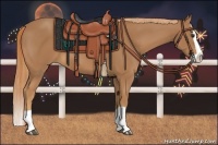 Horse Color:Chestnut Splash 