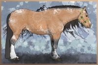 Horse Color:Bay Ice 