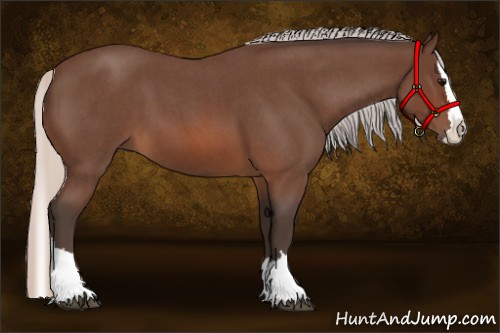 Horse Color:Silver Brown Roan Splash 