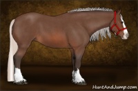 Horse Color:Silver Brown Roan Splash 