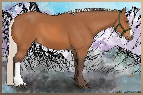 Horse Color:Silver Bay 