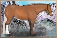 Horse Color:Silver Bay 