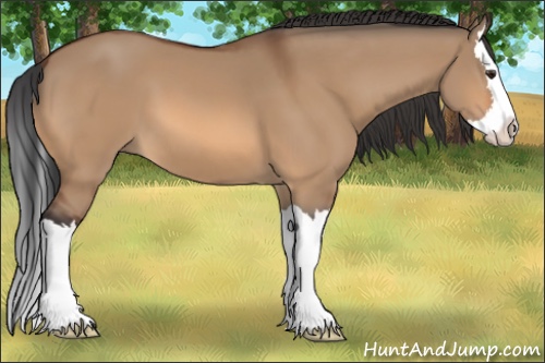 Horse Color:Bay Dun Sabino Splash 
