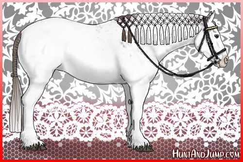 Horse Color:Liver Chestnut Sabino Splash Varnish 