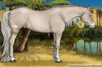 Horse Color:Chocolate Palomino Pearl Sabino 