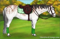 Horse Color:White Spotted Bay Splash  and White Spotted Bay Splash 