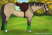 Horse Color:Bay Dun