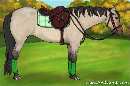 Horse Color:Bay Roan Dun 