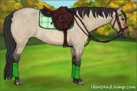 Horse Color:Bay Roan Dun 