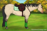 Horse Color:Bay Roan Dun
