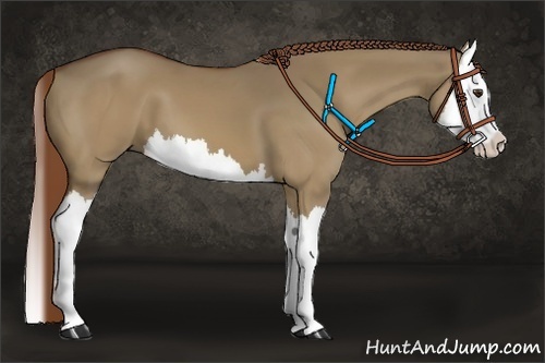 Horse Color:Red Dun Sabino Splash