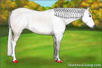 Horse Color:Gray Buckskin 