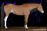 Horse Color:Bay Sabino