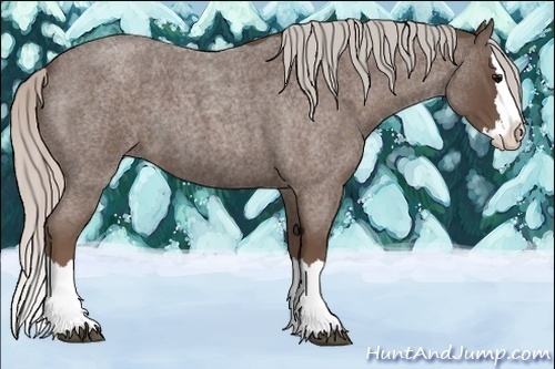 Horse Color:Silver Blue Roan Splash 
