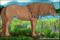 Horse Color:Chestnut Splash Frame